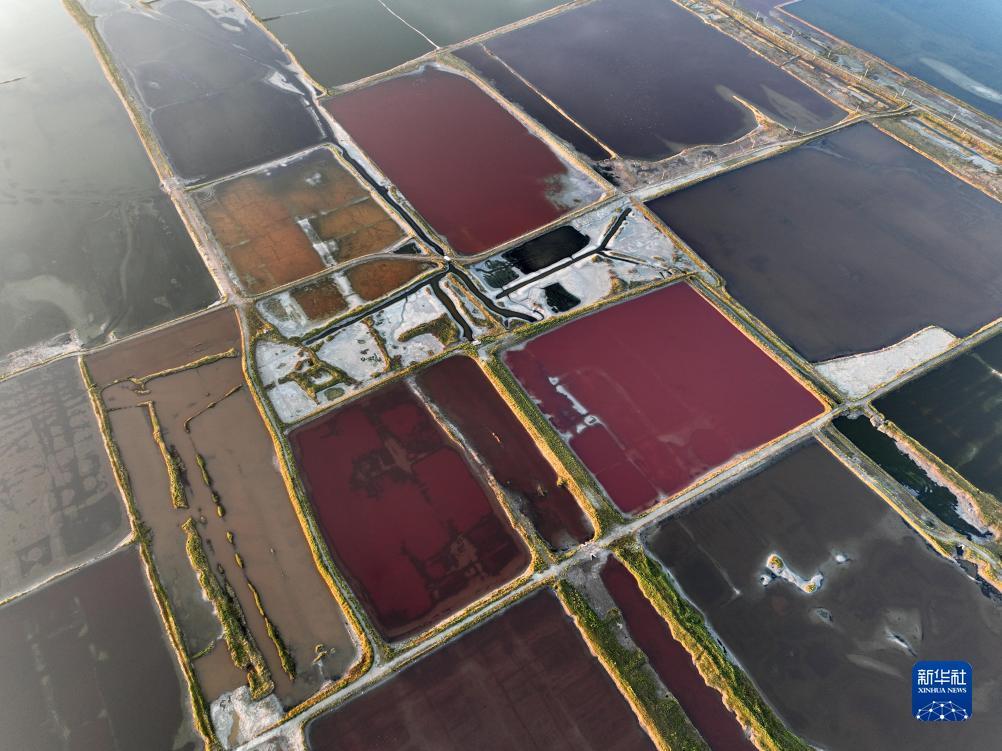 牛牛游戏欢乐斗